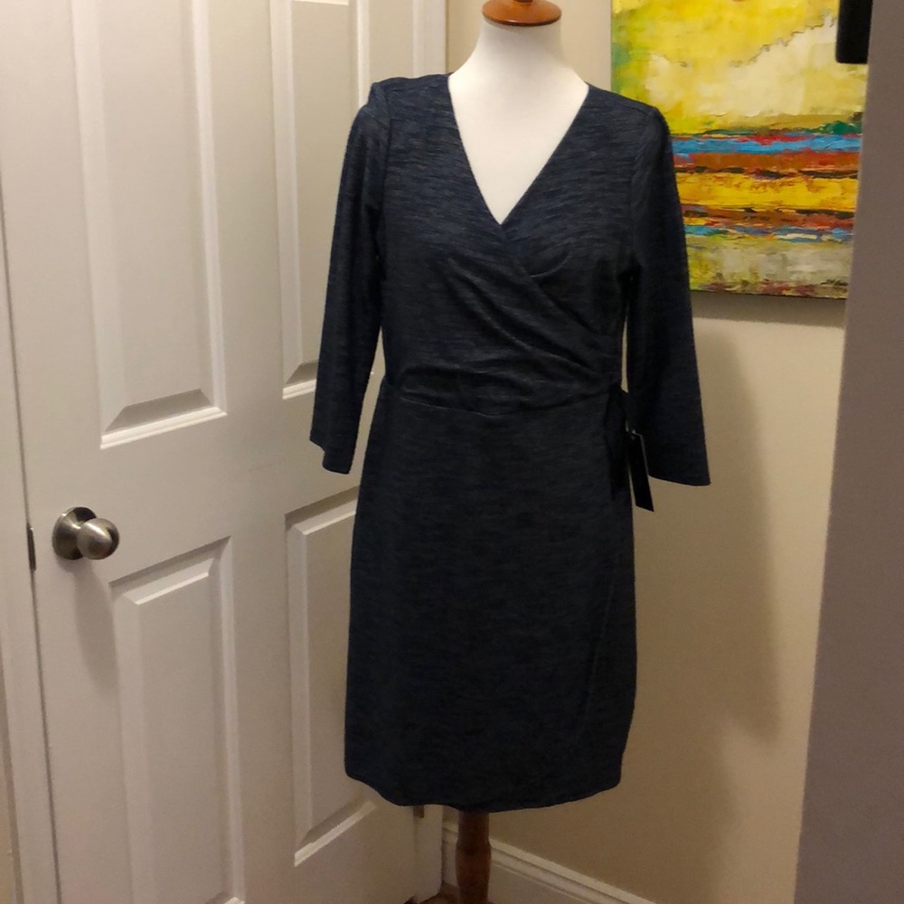 The Limited Dress